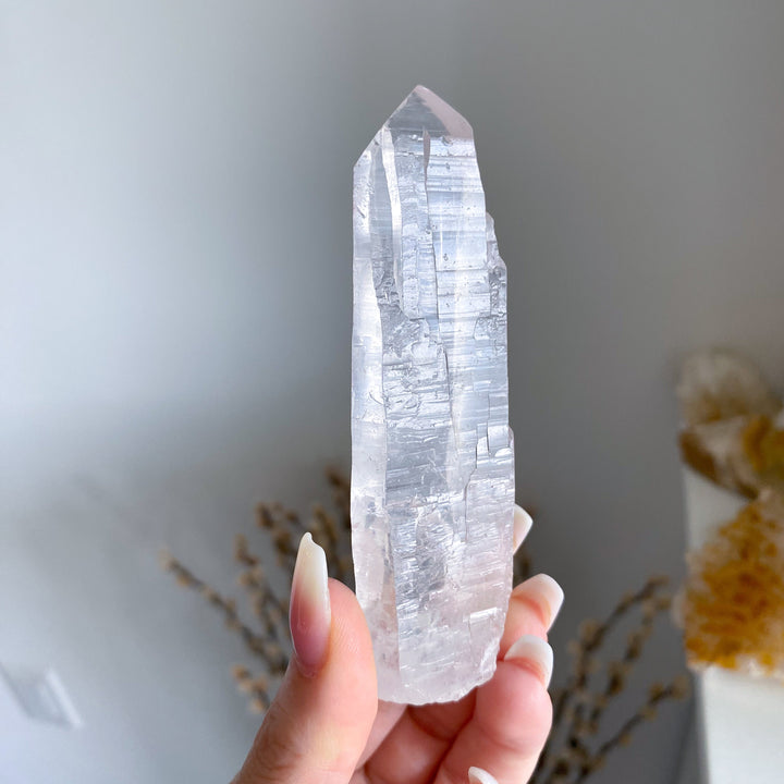 Lemurian Star Seed Quartz #1 - 4" 88 grams