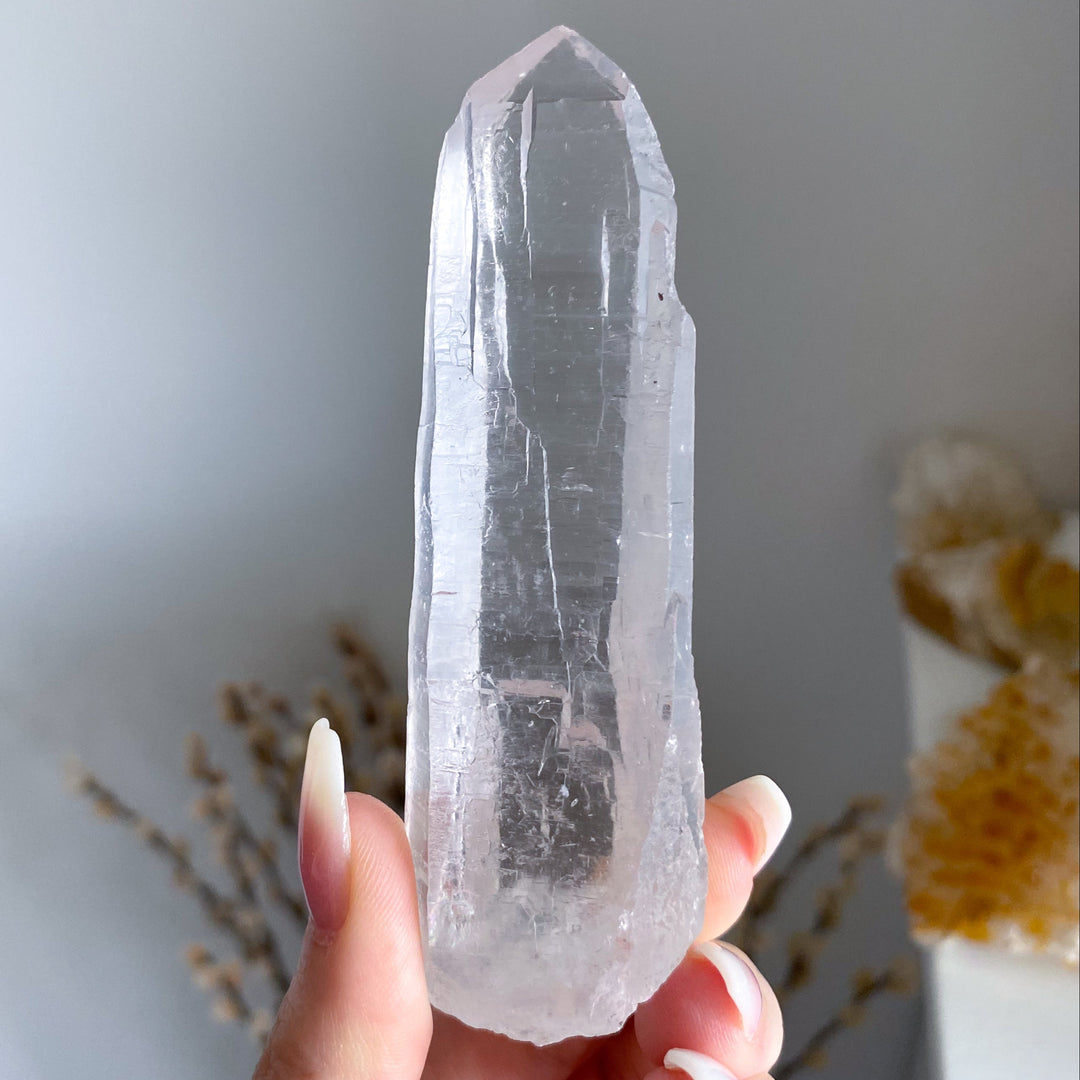 Lemurian Star Seed Quartz #1 - 4" 88 grams