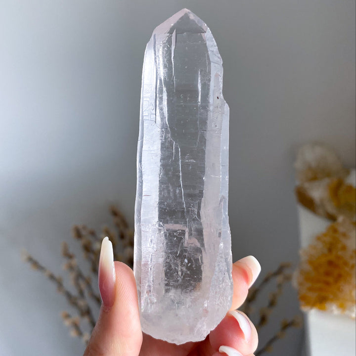 Lemurian Star Seed Quartz #1 - 4" 88 grams
