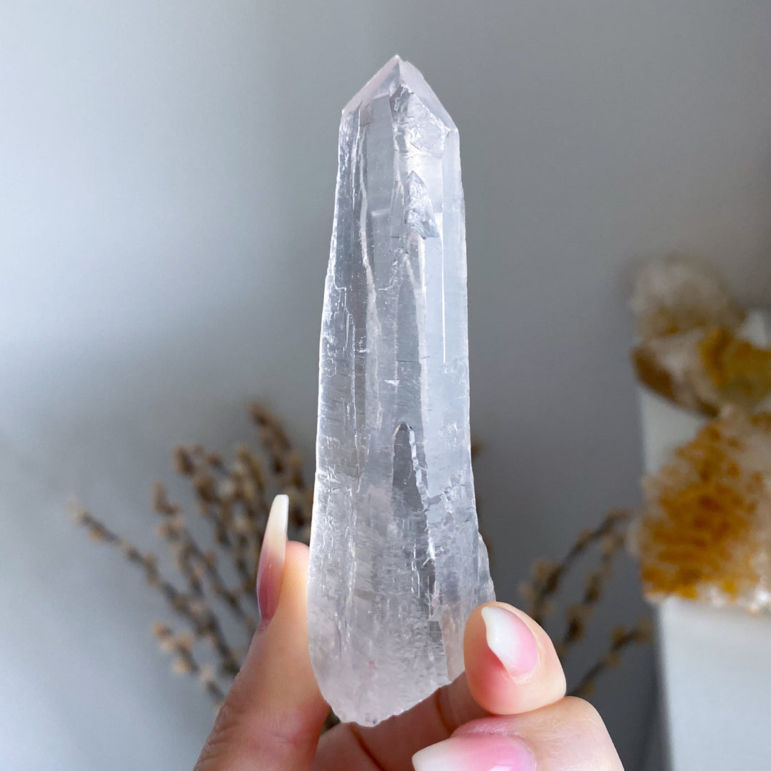 Lemurian Star Seed Quartz #1 - 4" 88 grams