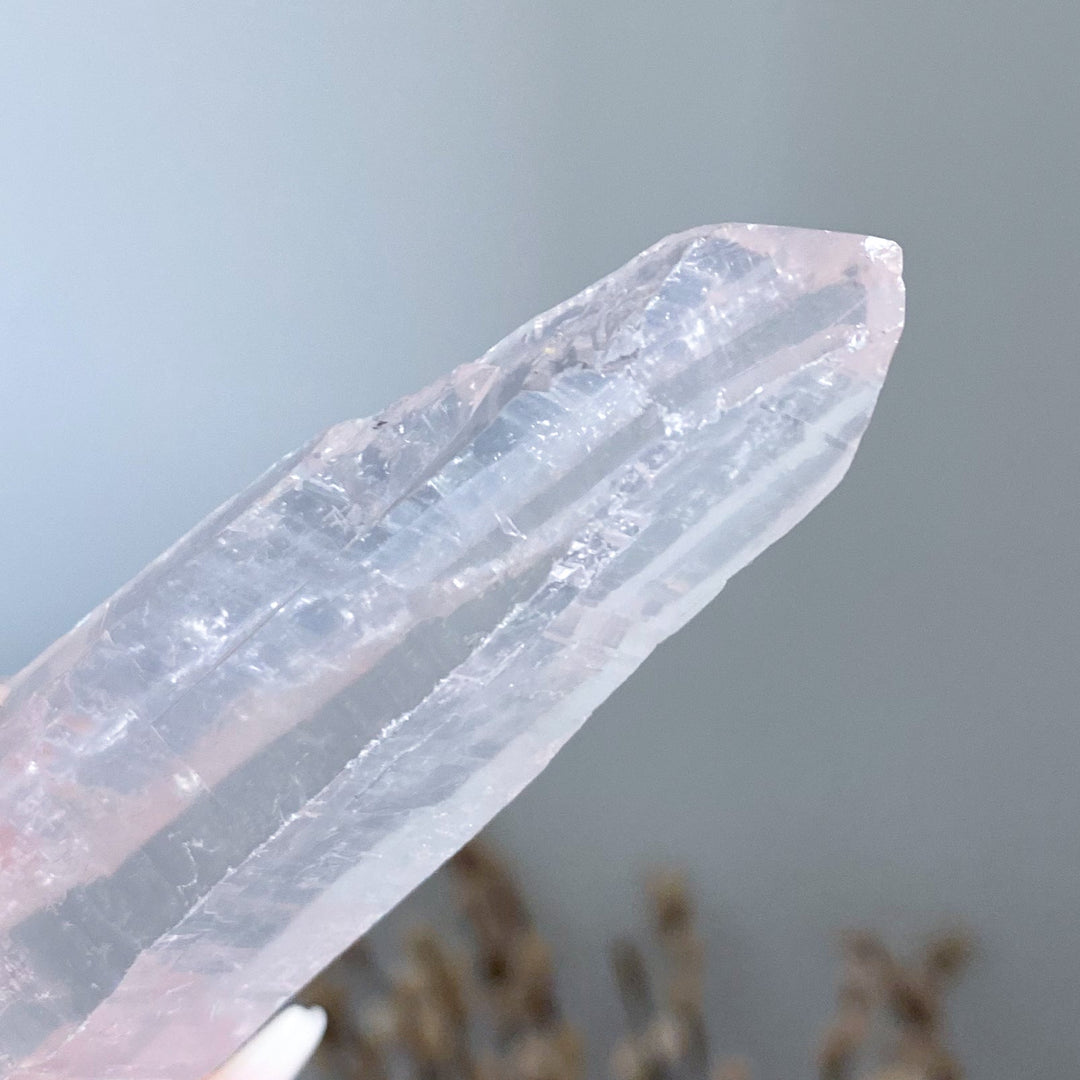 Lemurian Star Seed Quartz #1 - 4" 88 grams