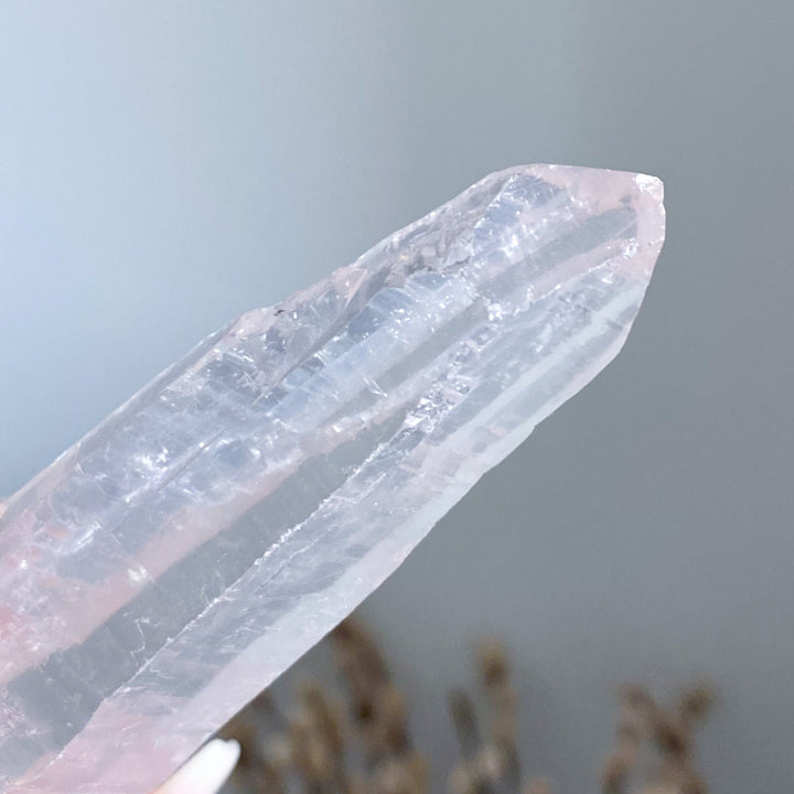 Lemurian Star Seed Quartz #1 - 4" 88 grams