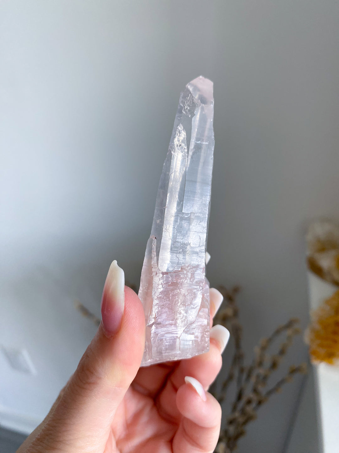 Lemurian Star Seed Quartz #1 - 4" 88 grams