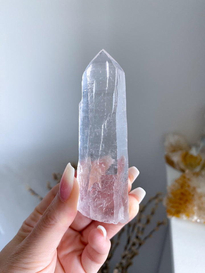 Lemurian Star Seed Quartz #1 - 4" 88 grams