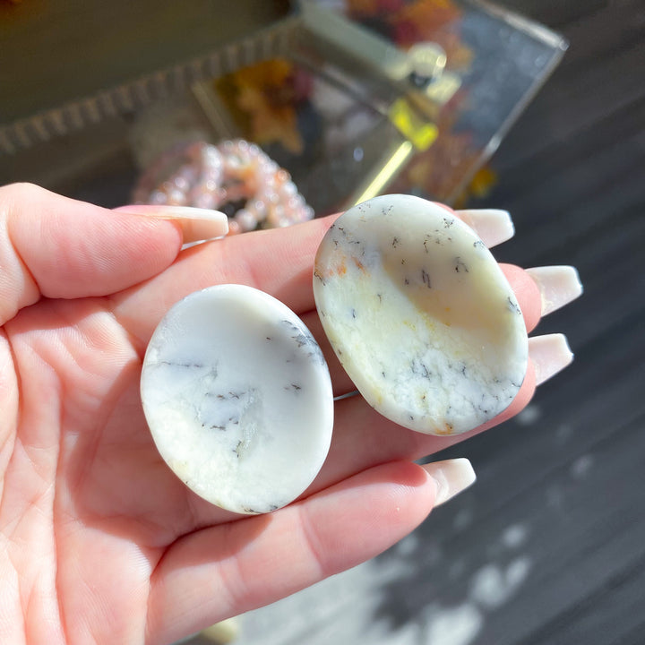 Dendritic Opal Worry Stone