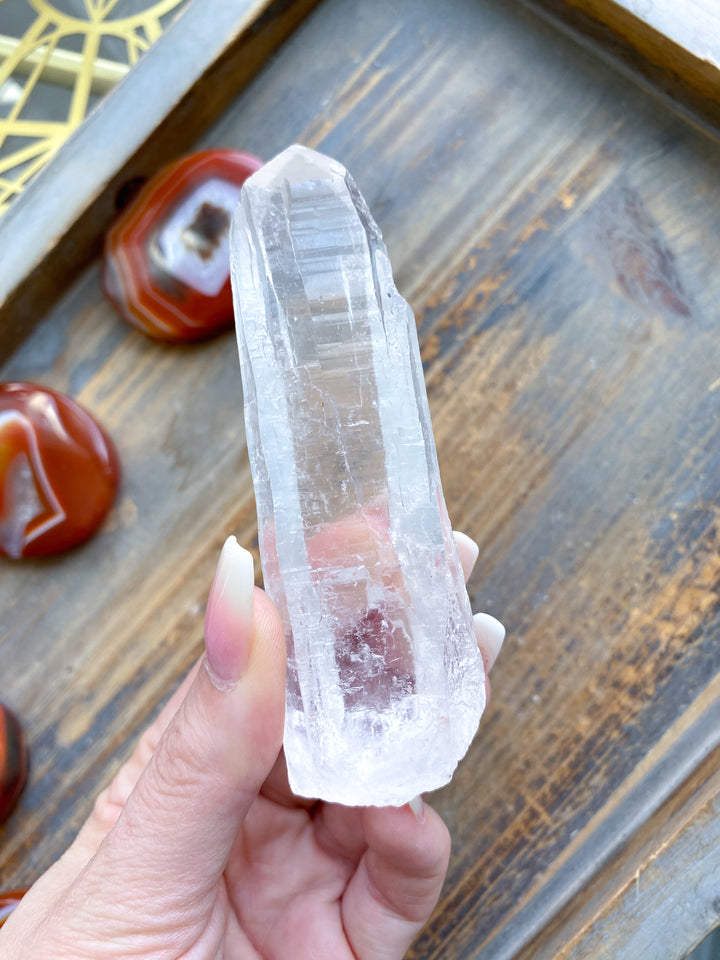 Lemurian Star Seed Quartz #1 - 4" 88 grams