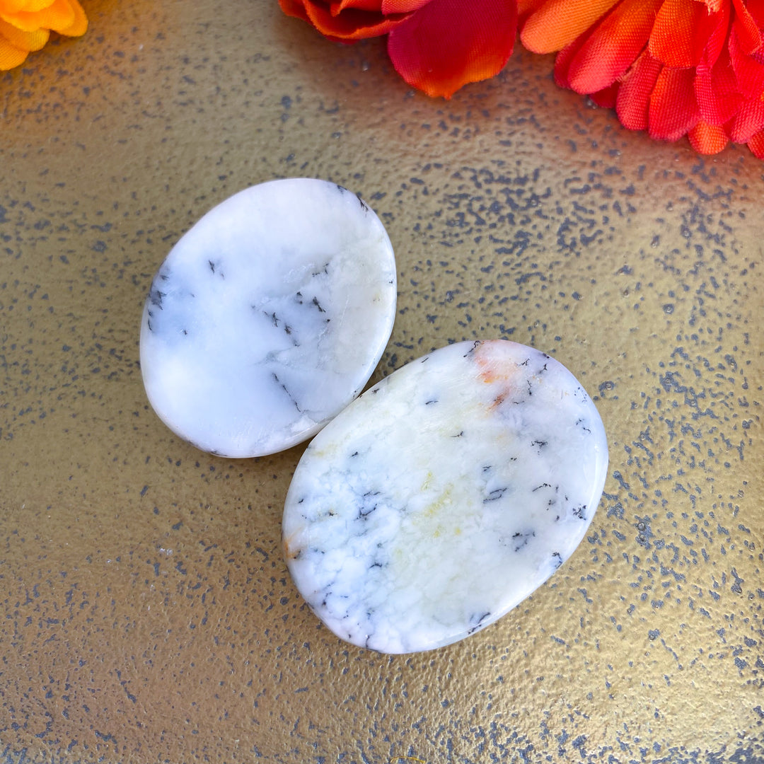 Dendritic Opal Worry Stone