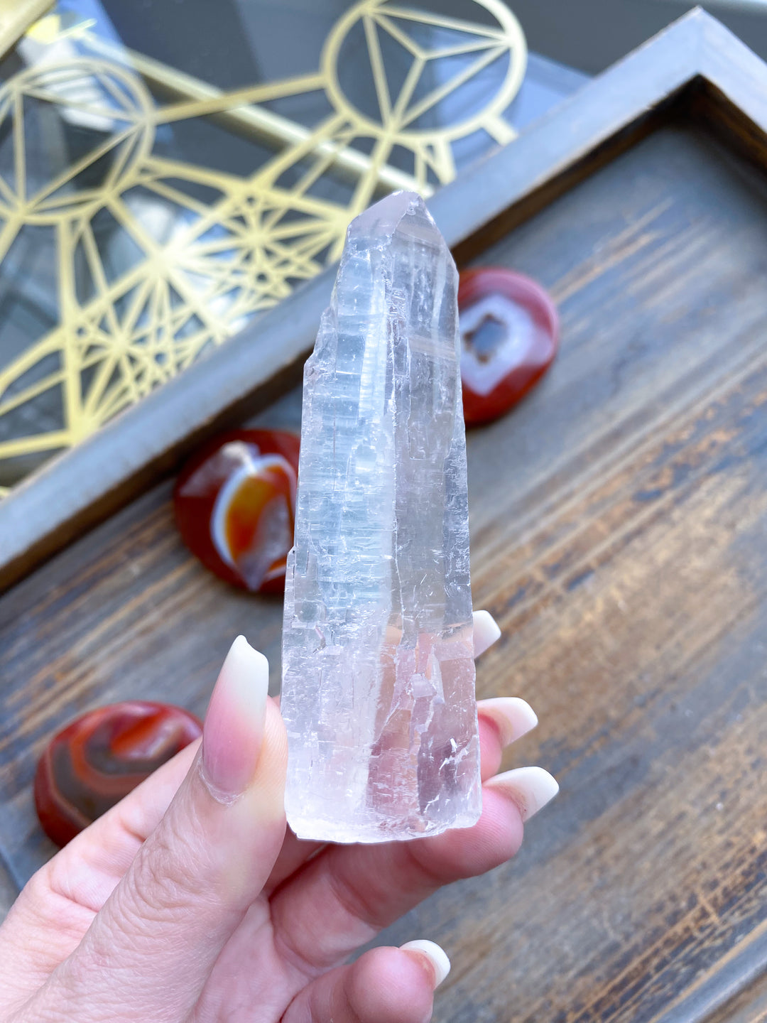Lemurian Star Seed Quartz #1 - 4" 88 grams