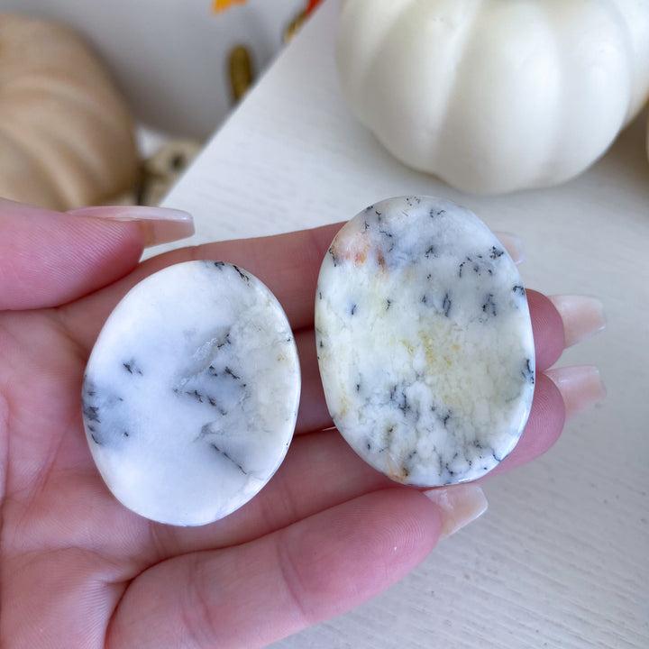 Dendritic Opal Worry Stone