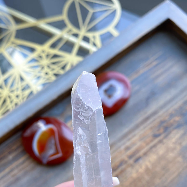 Lemurian Star Seed Quartz #1 - 4" 88 grams