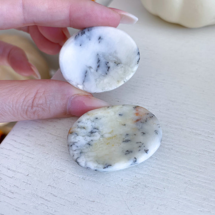 Dendritic Opal Worry Stone