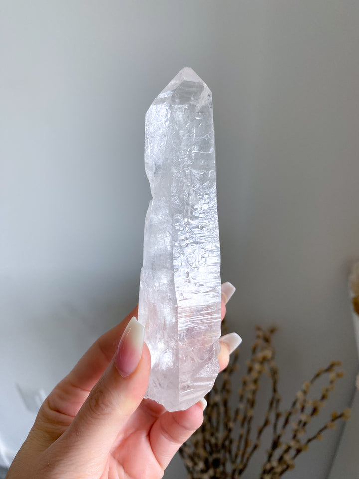 Lemurian Star Seed Quartz Wand #2 - 5", 176 grams
