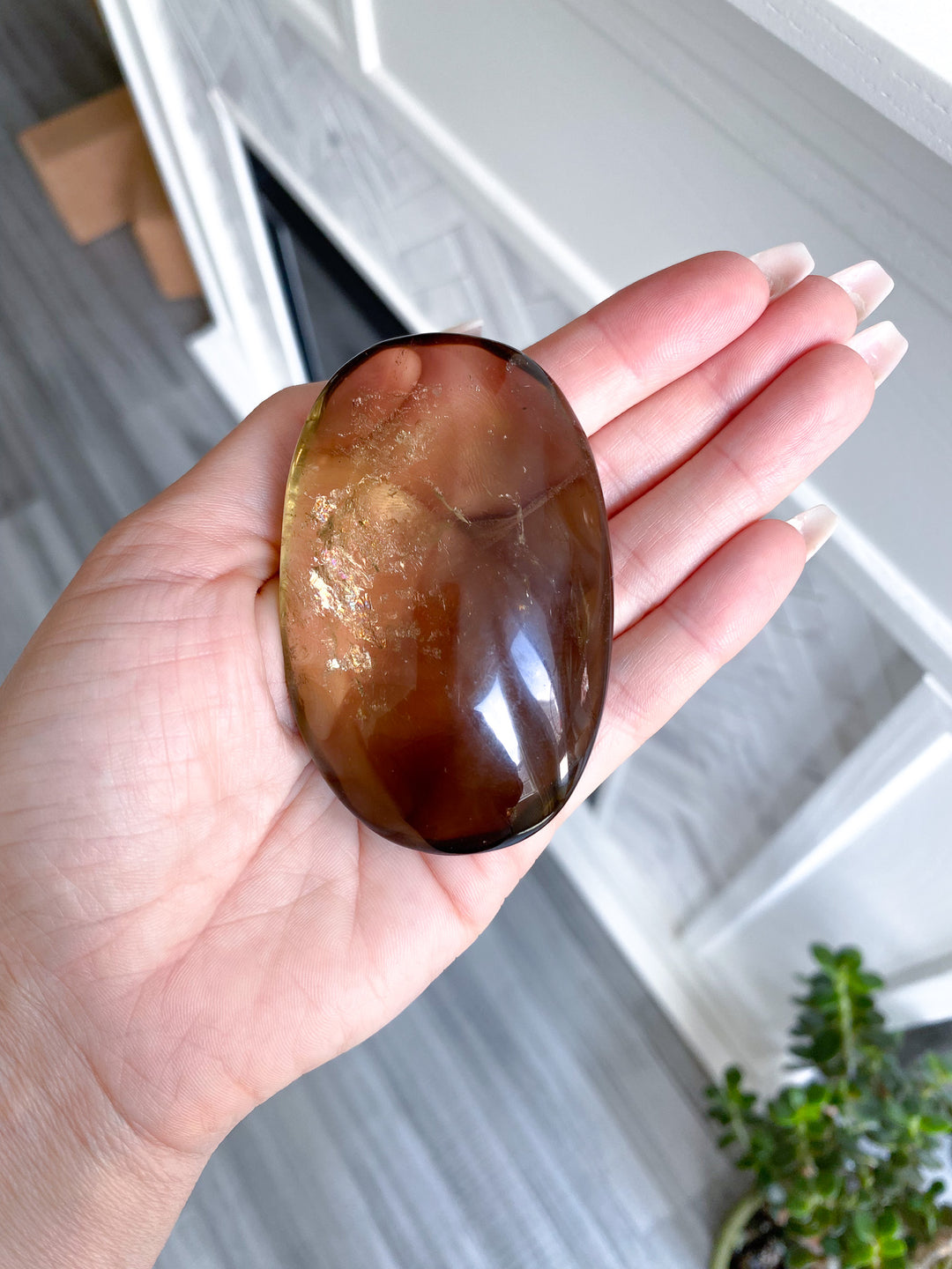 Phantom Smokey Citrine Palm with Rainbows 