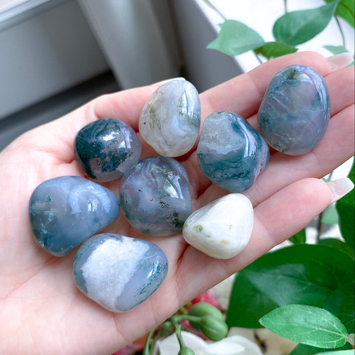 Moss Agate in Quartz Tumble