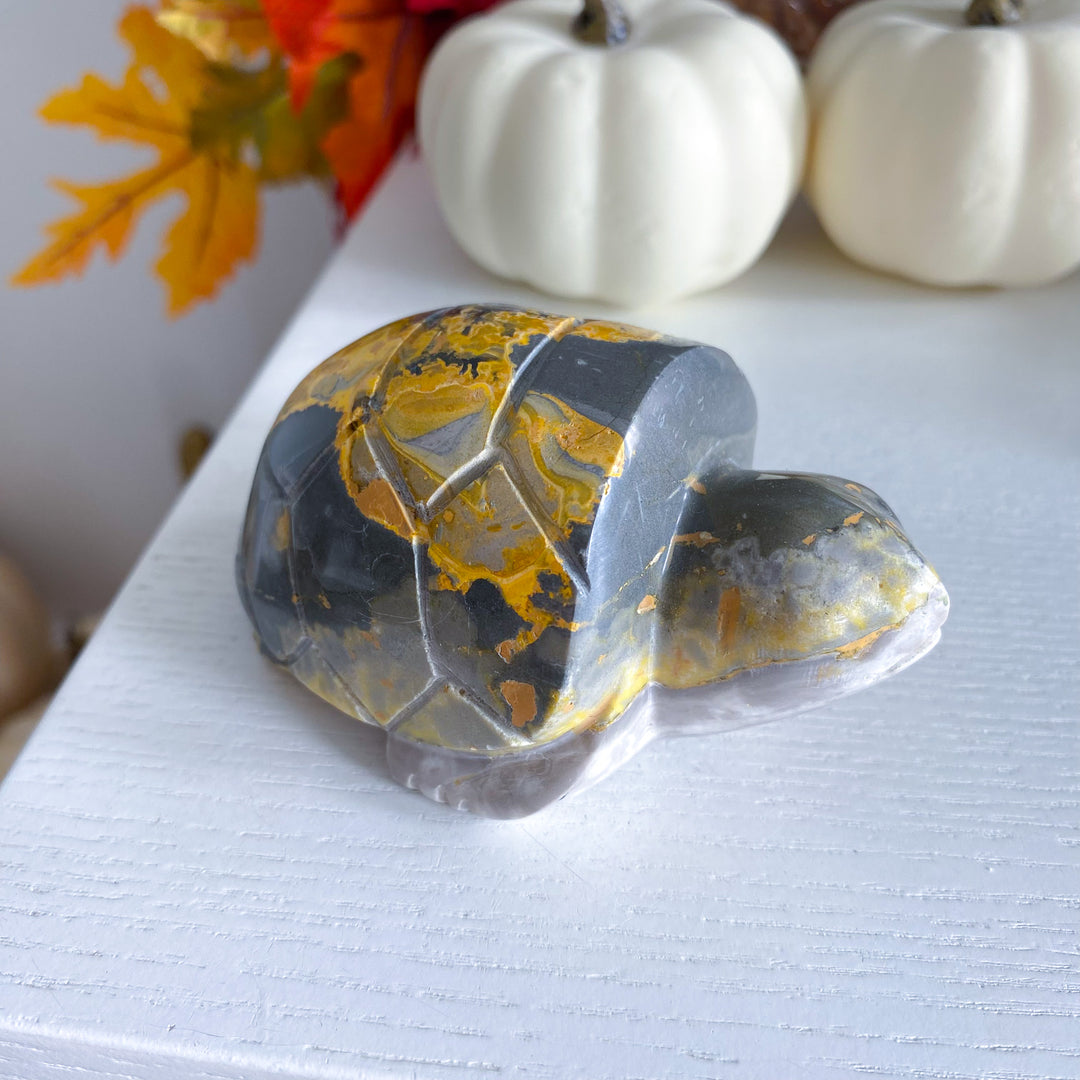 Bumble Bee Jasper Turtle 