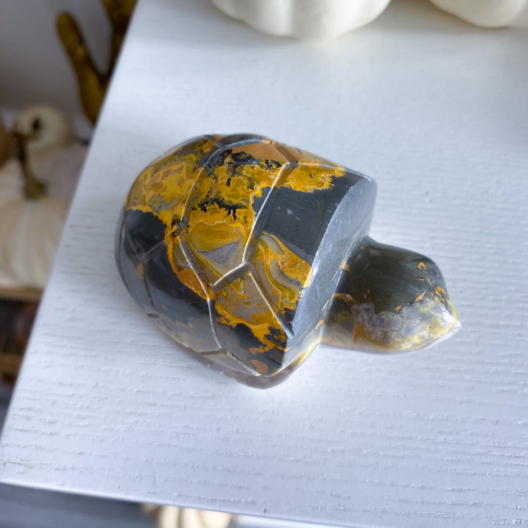 Bumble Bee Jasper Turtle 