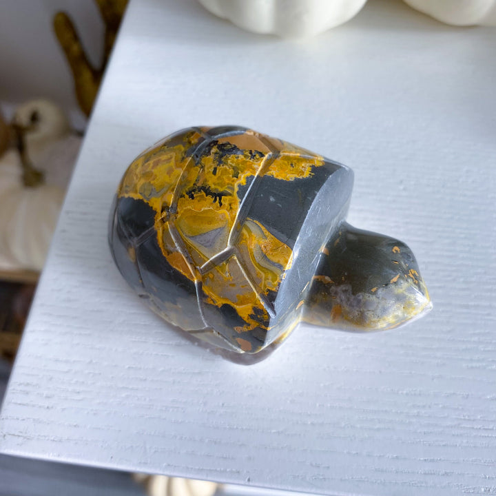 Bumble Bee Jasper Turtle 