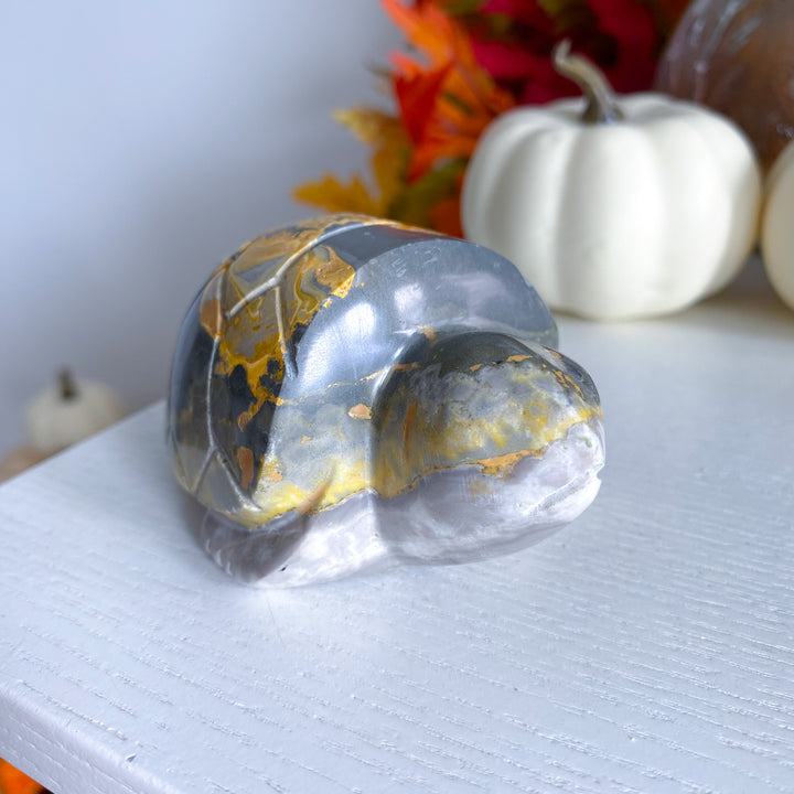 Bumble Bee Jasper Turtle 