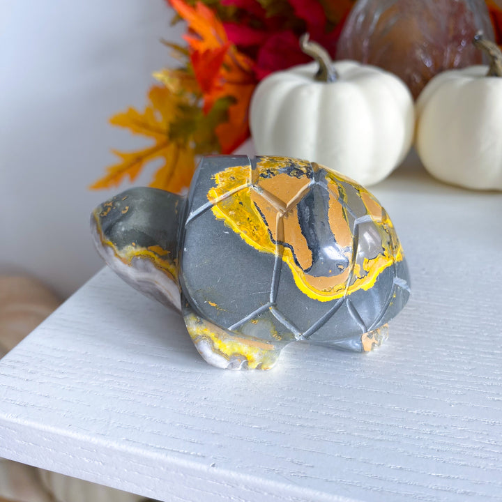 Bumble Bee Jasper Turtle 