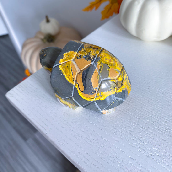 Bumble Bee Jasper Turtle 