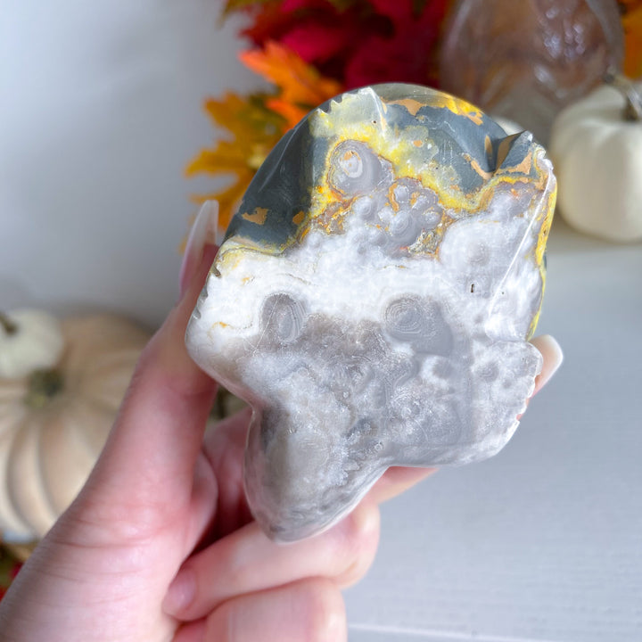 Bumble Bee Jasper Turtle 