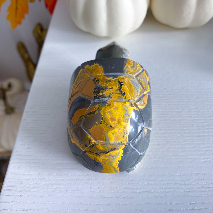 Bumble Bee Jasper Turtle 