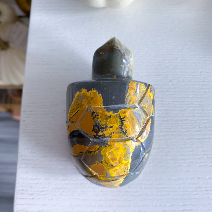 Bumble Bee Jasper Turtle 