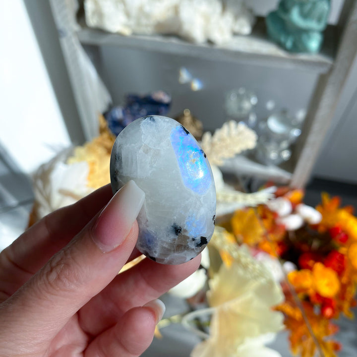 Extra Small Rainbow Moonstone Palm Stone