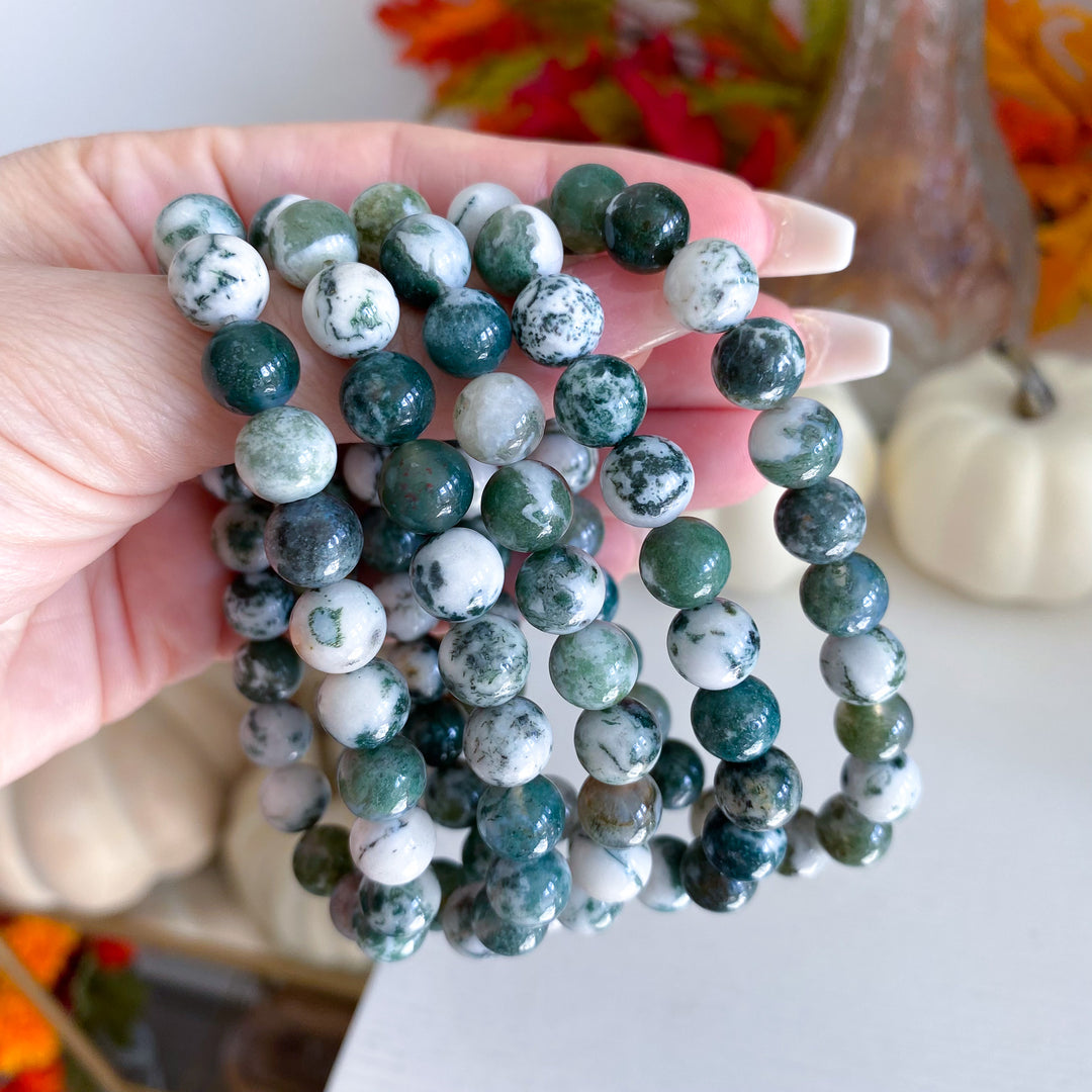 B Quality Moss Agate 8mm Bracelet