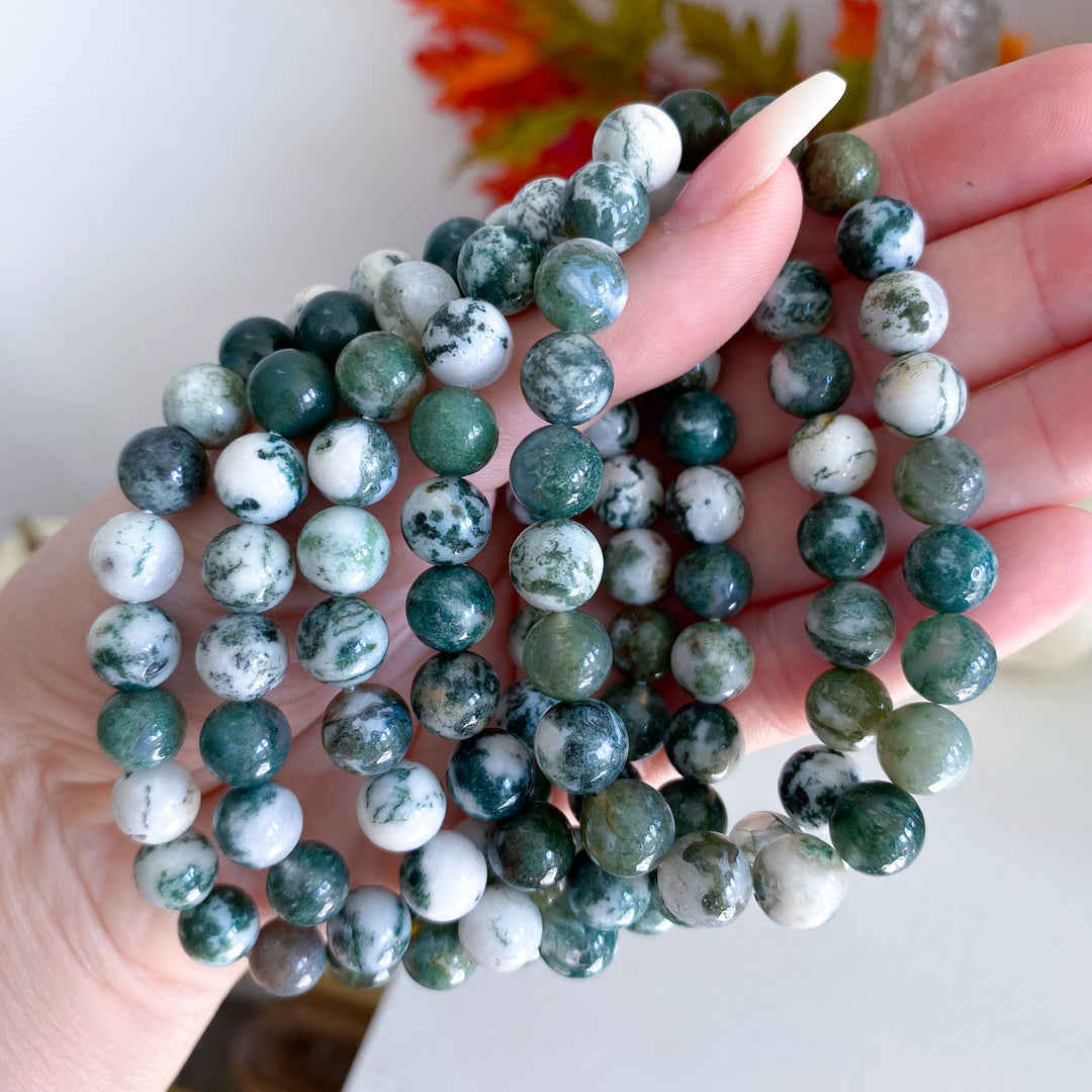 B Quality Moss Agate 8mm Bracelet