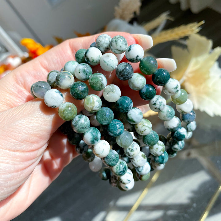B Quality Moss Agate 8mm Bracelet