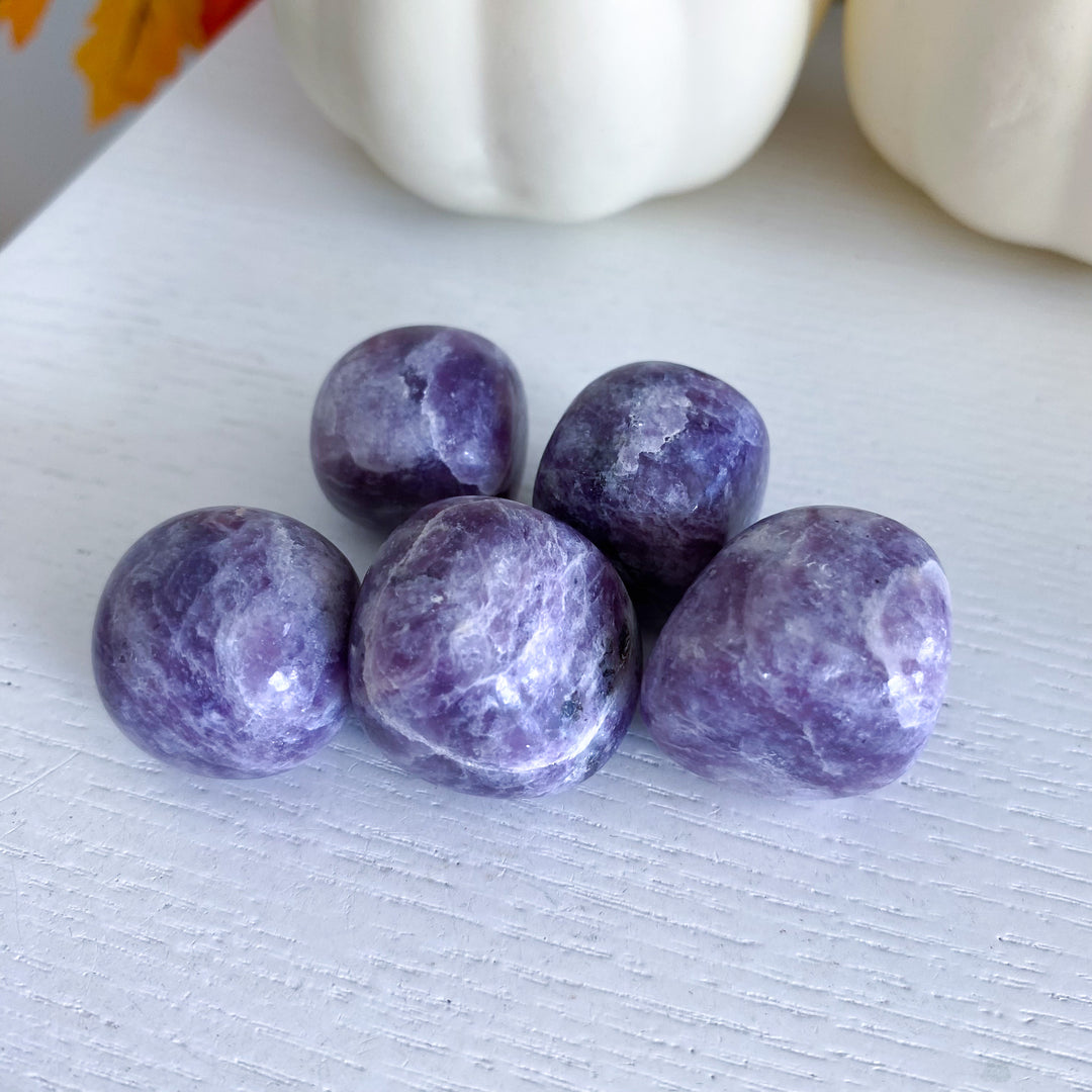Lepidolite Tumble