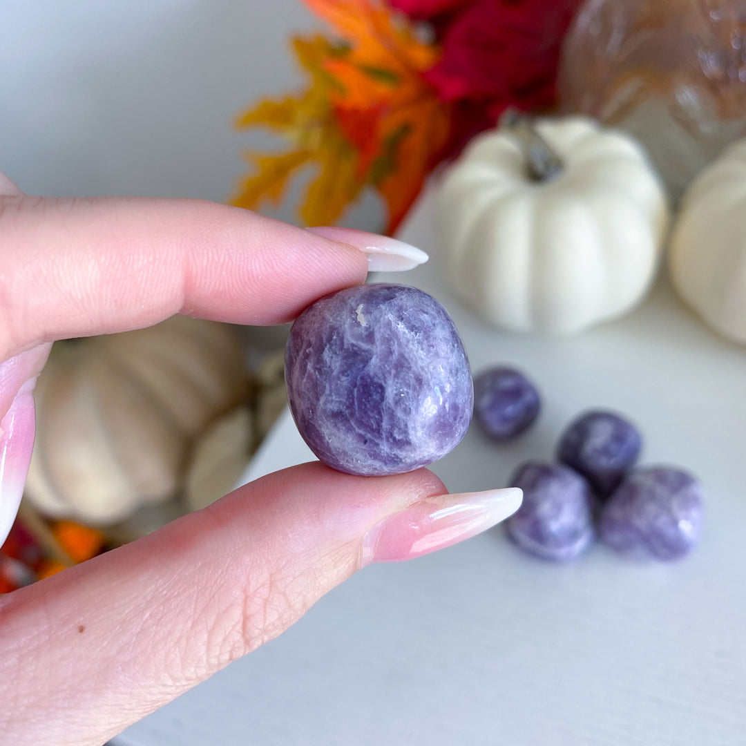 Lepidolite Tumble