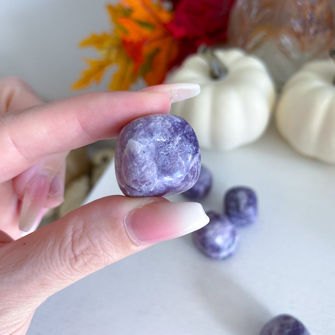 Lepidolite Tumble