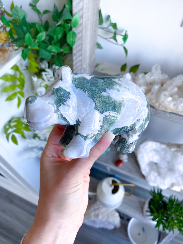 1lb Large Moss Agate Hippo