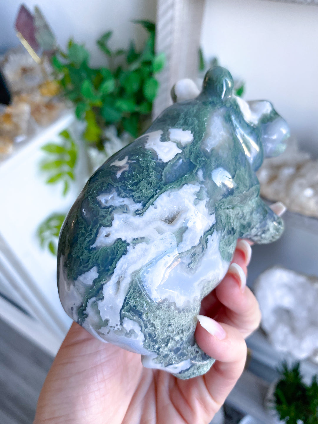 1lb Large Moss Agate Hippo