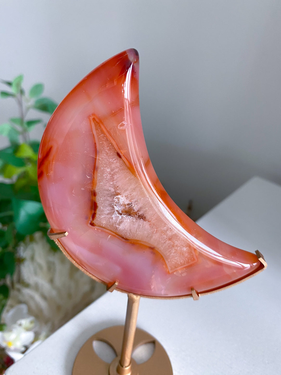 Coral Carnelian Moon with Druzy Portal on Gold Stand 