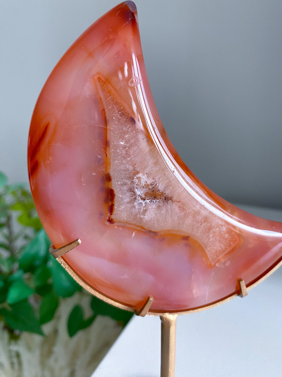 Coral Carnelian Moon with Druzy Portal on Gold Stand 