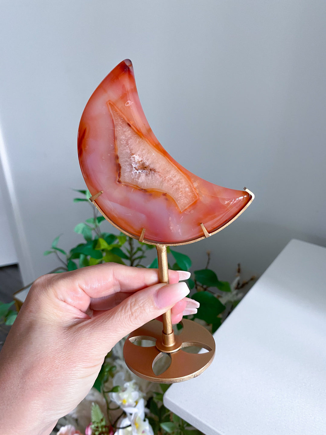 Coral Carnelian Moon with Druzy Portal on Gold Stand 