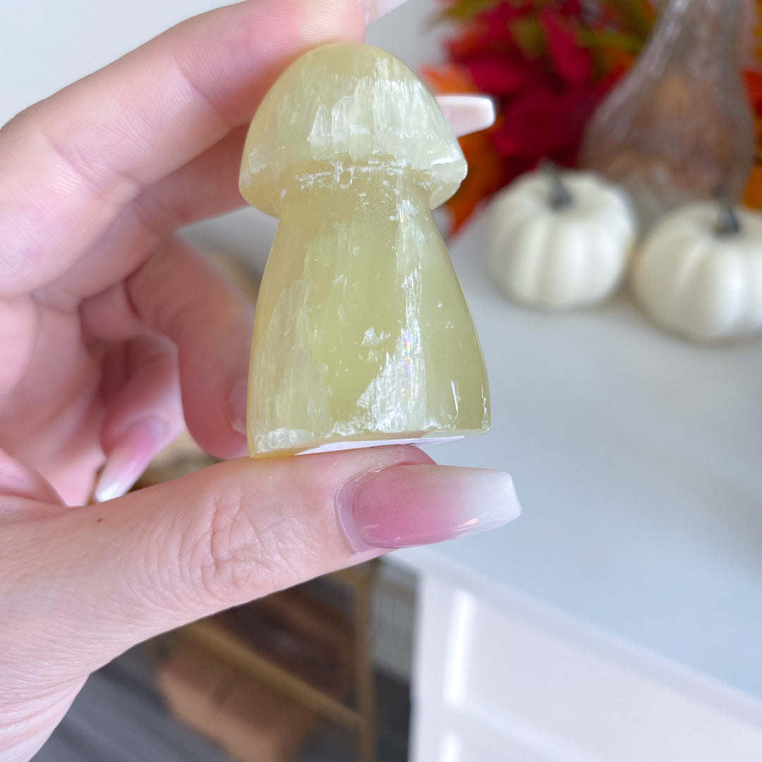 Small Yellow Calcite Mushroom 