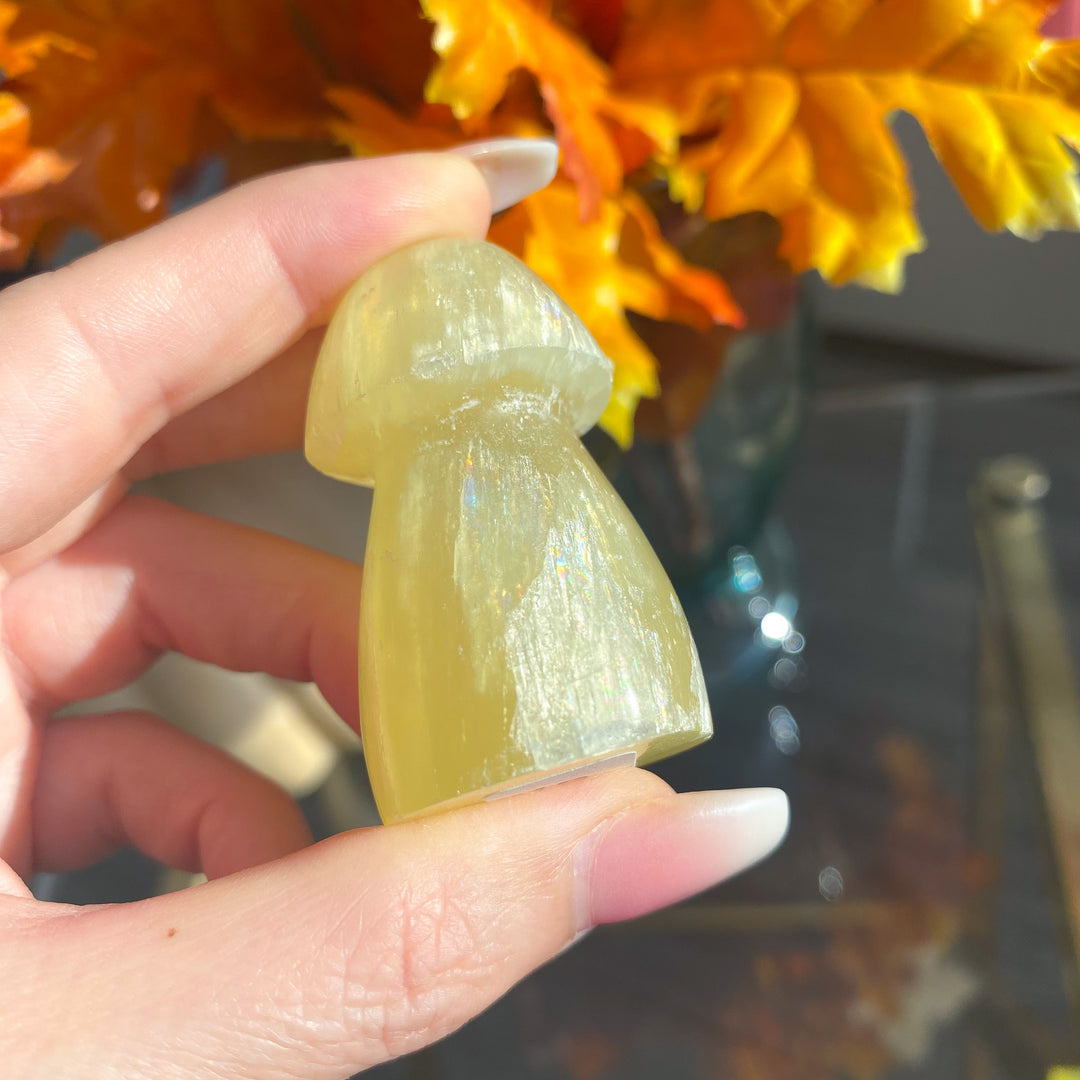 Small Yellow Calcite Mushroom 