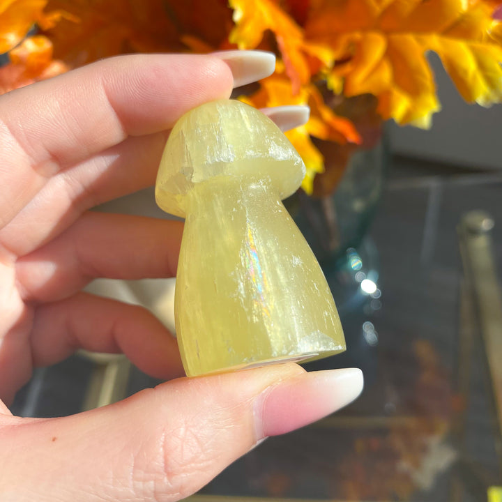 Small Yellow Calcite Mushroom 