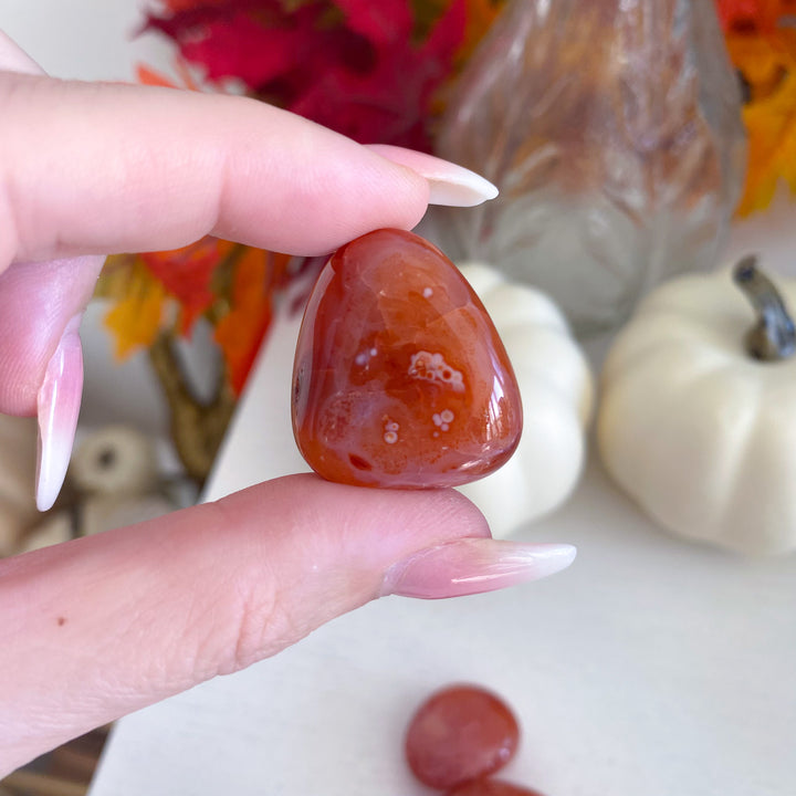 Carnelian Tumble