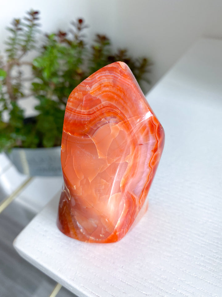 Large Carnelian Flame #4