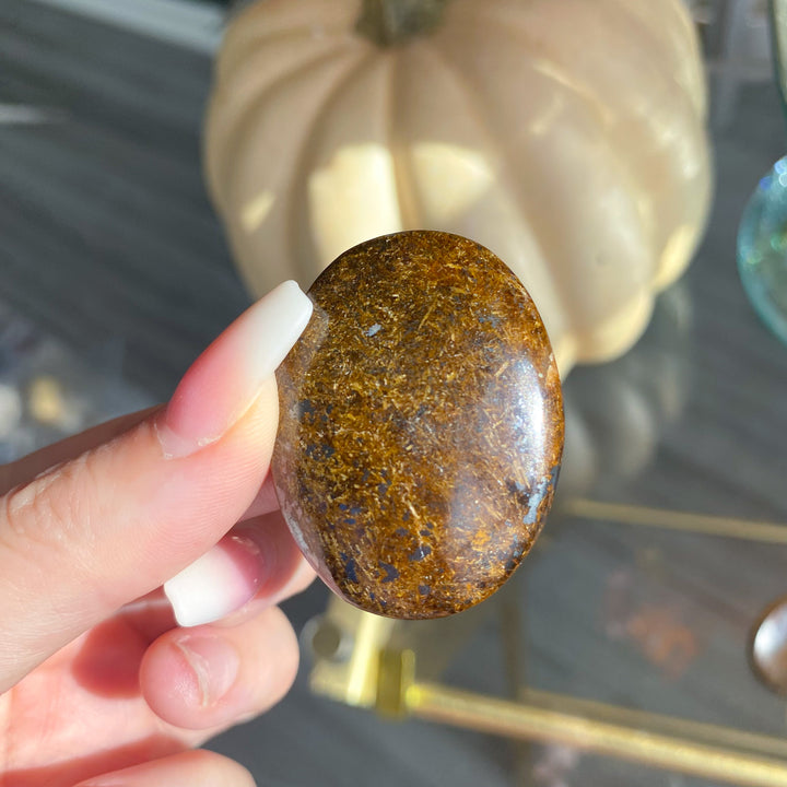 Bronzite Worry Stone