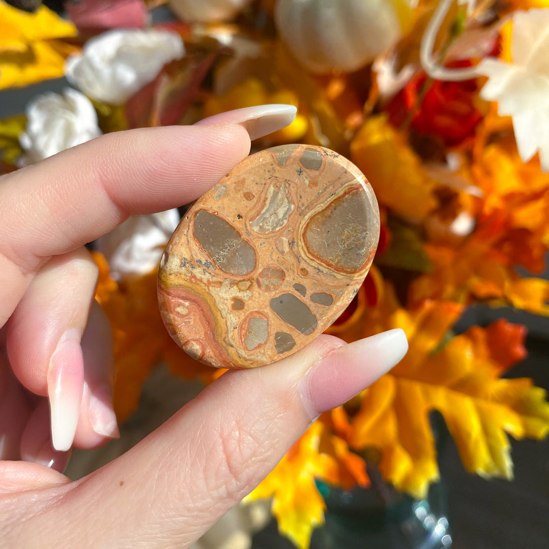 Leopard Skin Jasper Worry Stone