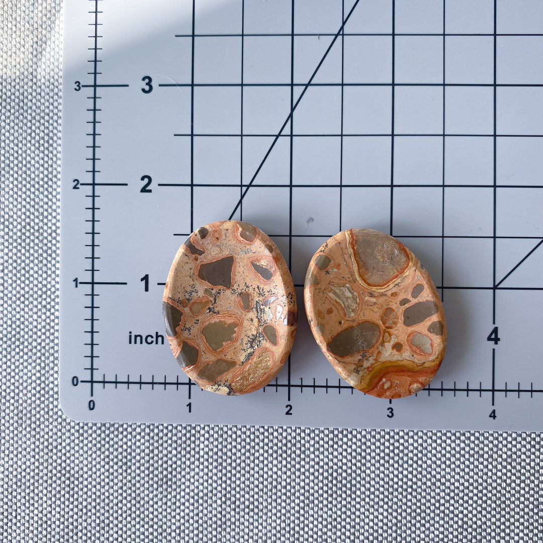 Leopard Skin Jasper Worry Stone