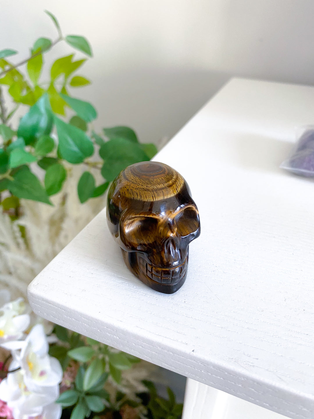 Small Tigers Eye Skull