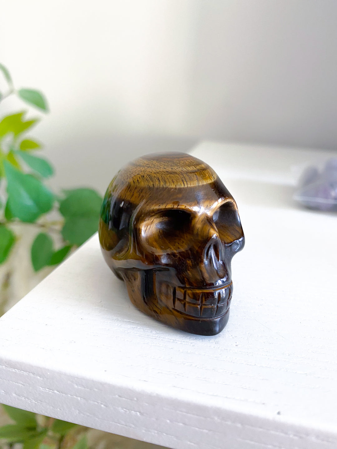 Small Tigers Eye Skull