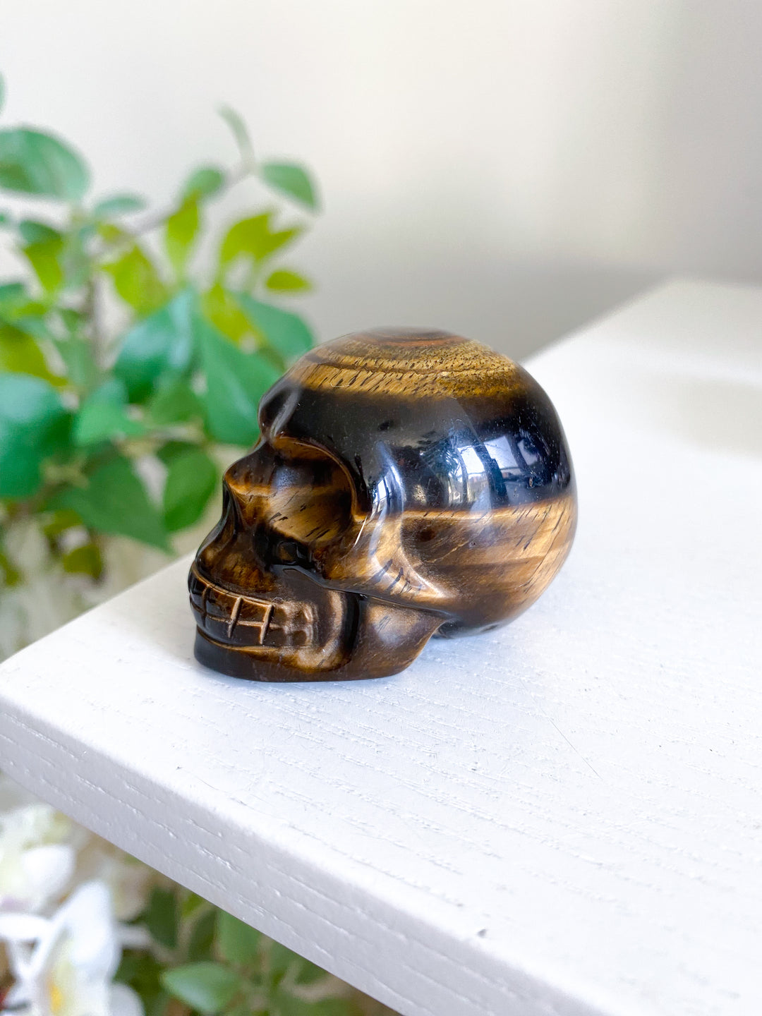 Small Tigers Eye Skull